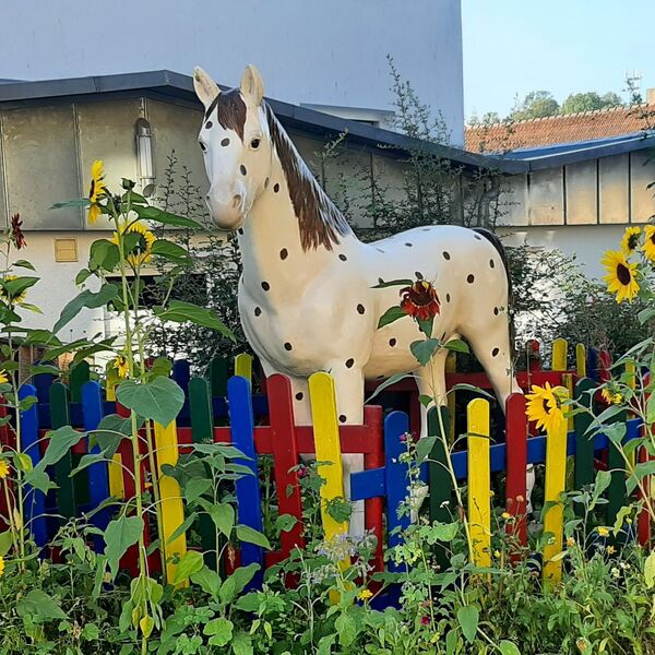 Foto vom Pferd Kleiner Onkel