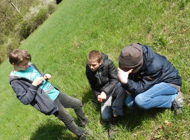 Drei Schüler erkunden die Natur.
